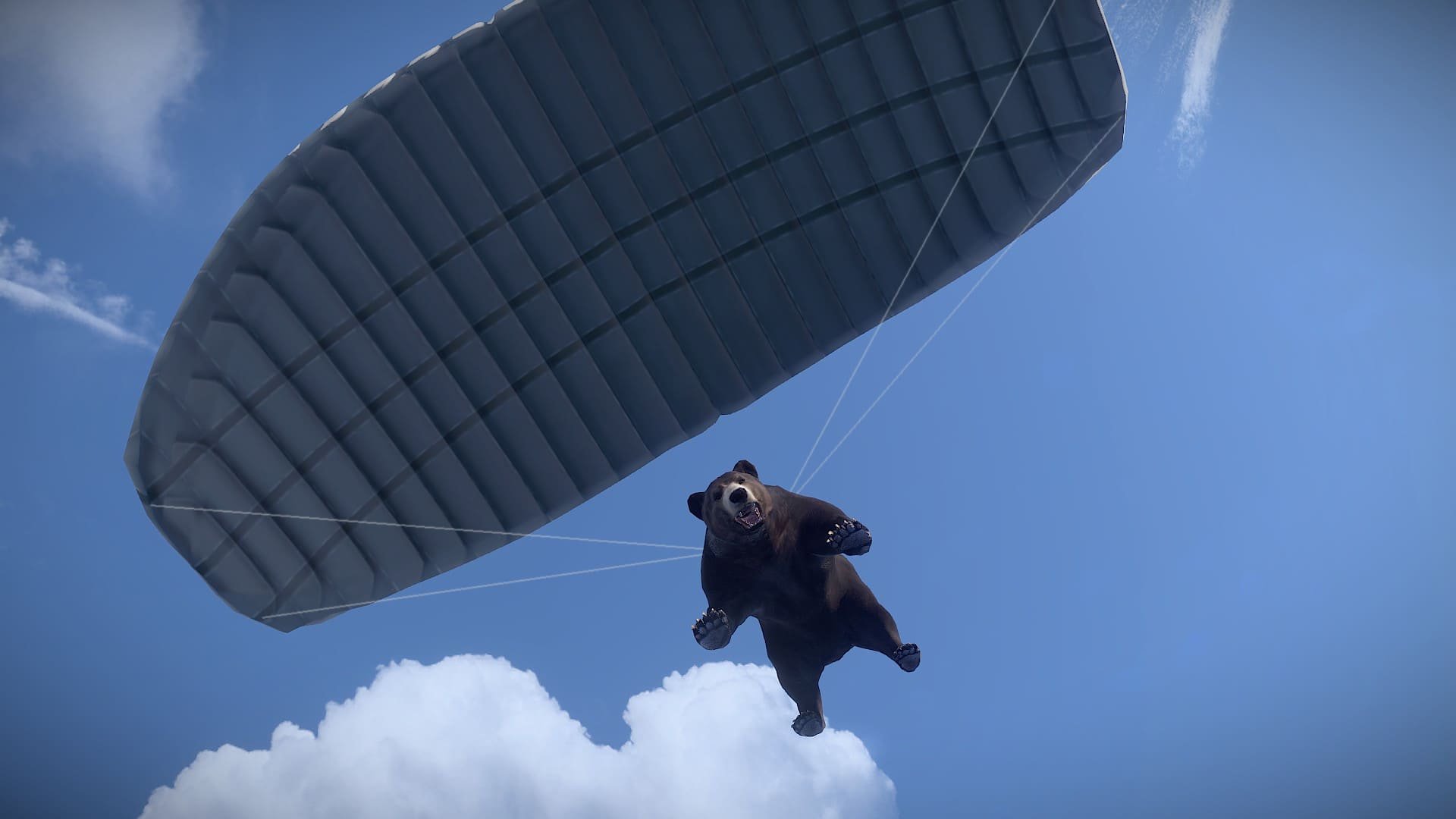 bear rust