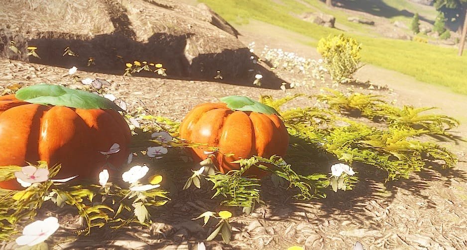 pumkin rust