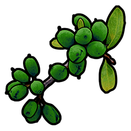 green berry rust