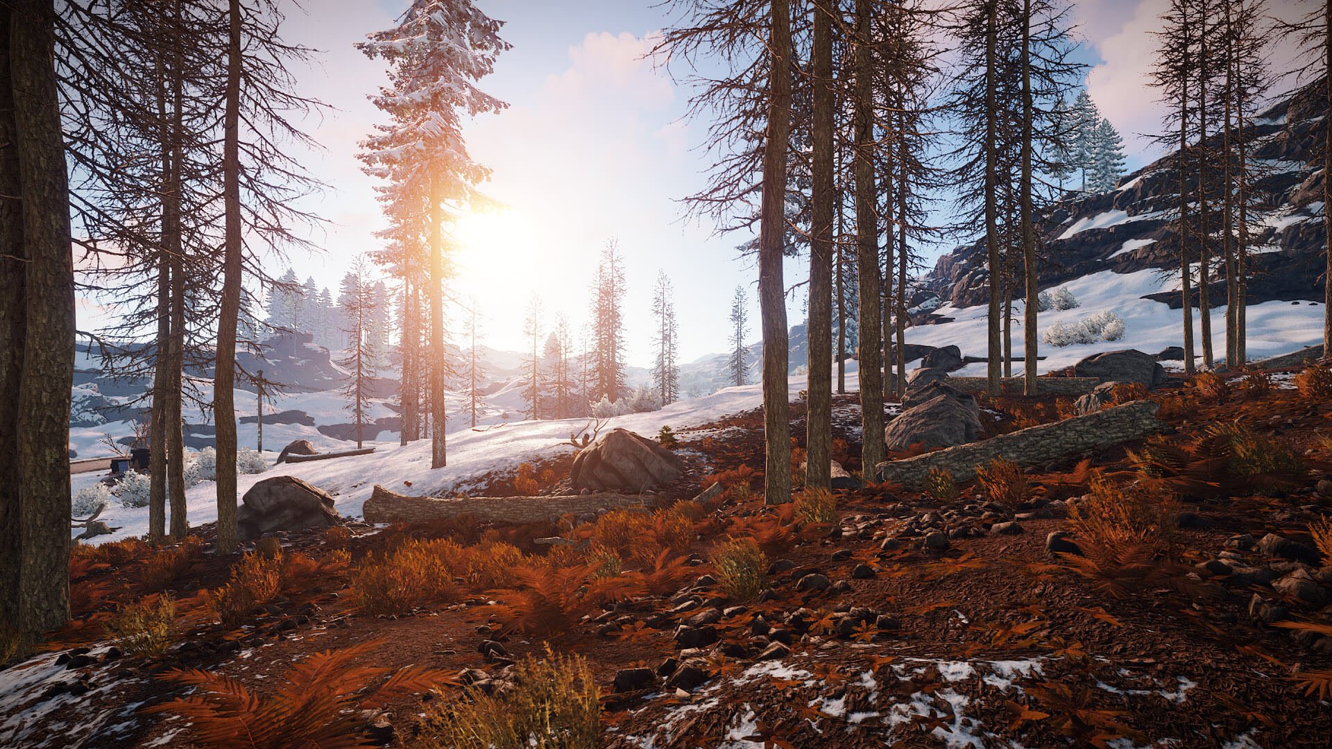 rust world