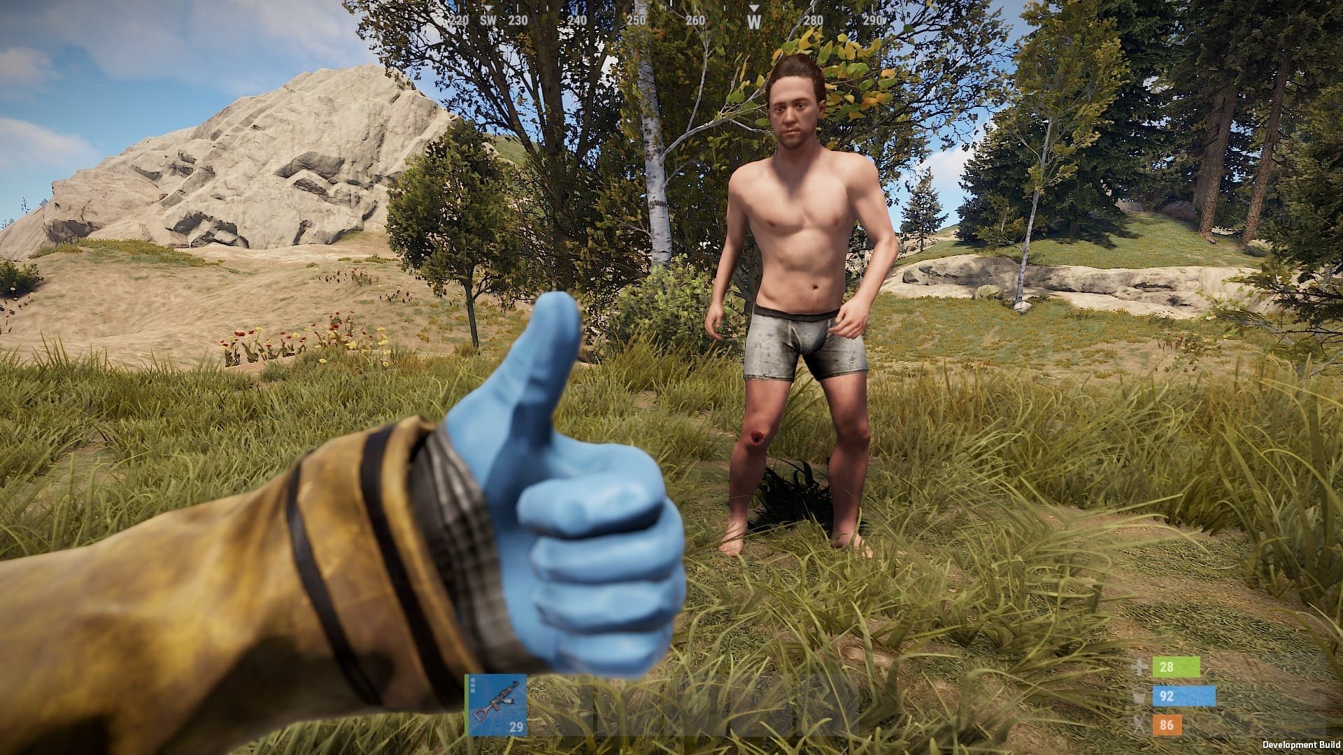 rust game steam